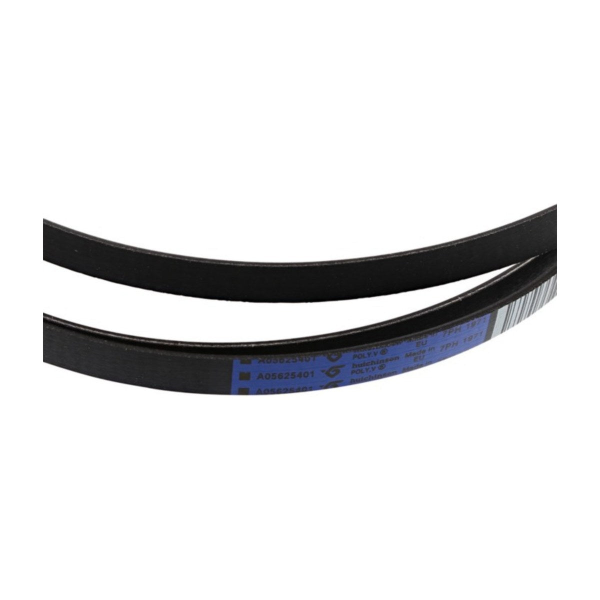 140056254018 genuine 7PH1971 dryer drive belt for Electrolux and AEG clothes dryers, view 2 view 2