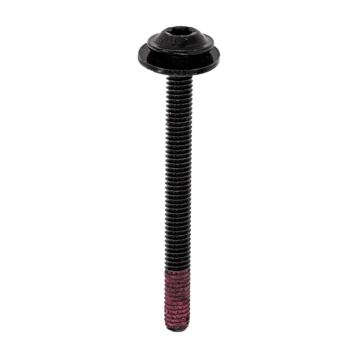 5612311448 genuine oven door handle bolt M4 x 44mm T20 for Westinghouse and Electrolux ovens