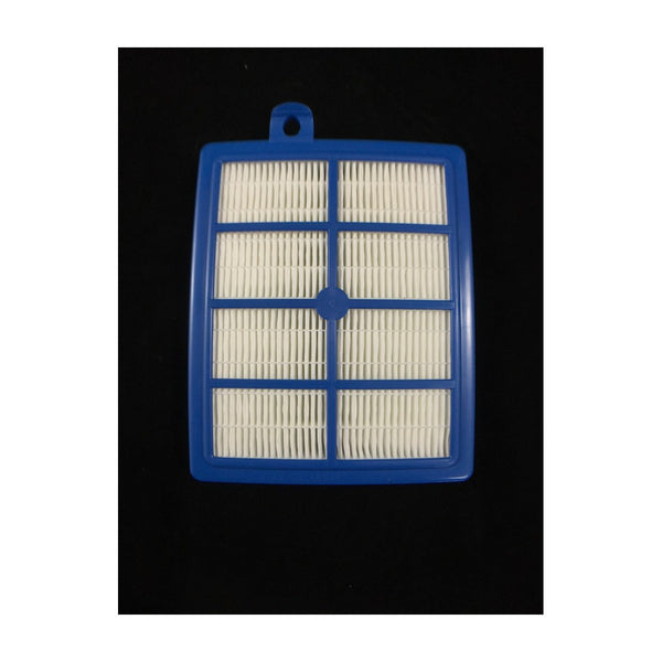 900195119 genuine Electrolux vacuum cleaner HEPA filter EFH12W