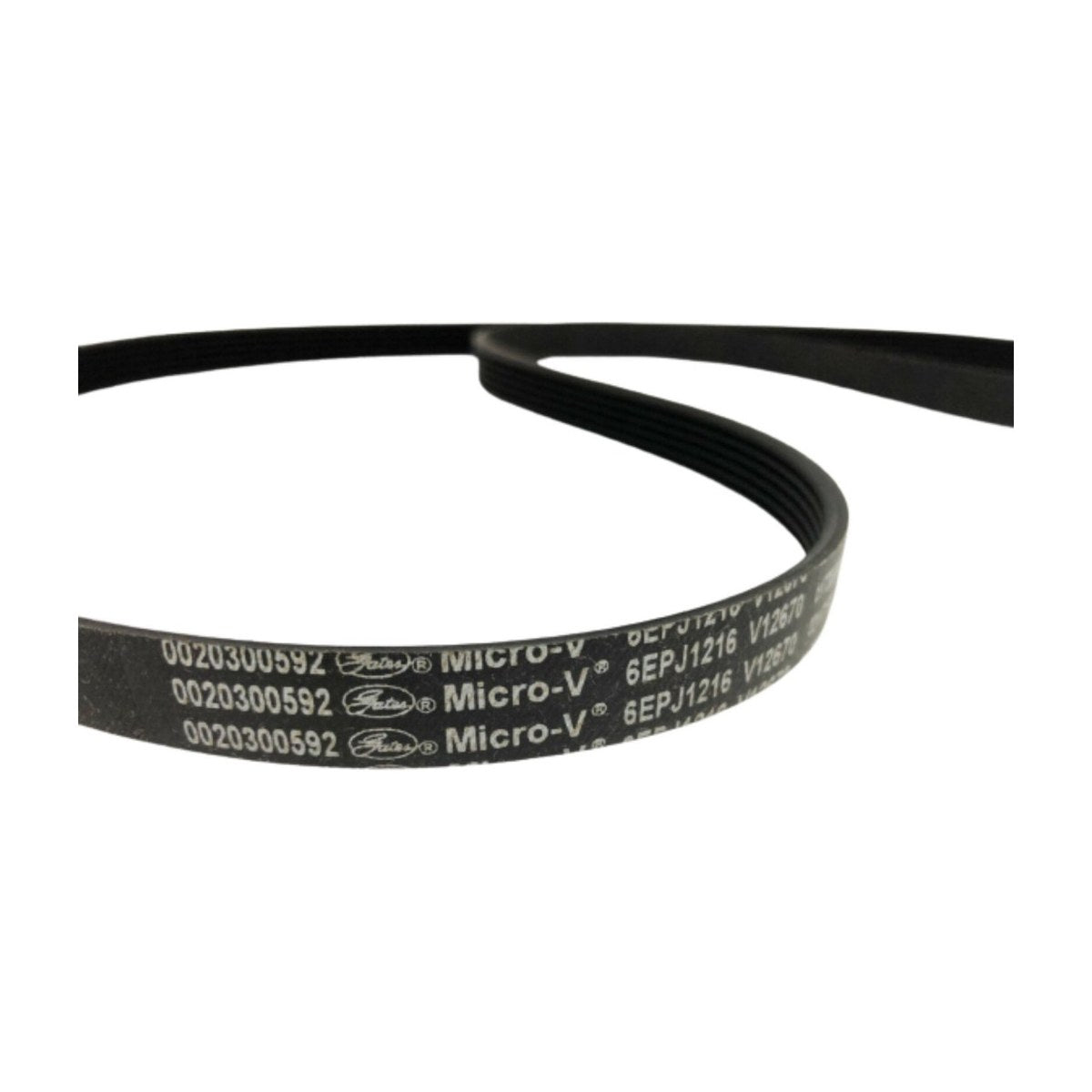 H0020300592 genuine Haier 6EPJ1216 drive belt for front load washing machines, view 2 view 2